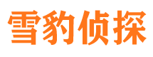 禅城调查事务所